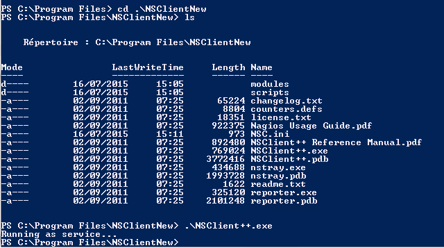 Lancer le binaire à la main ne fonctionnera pas non plus