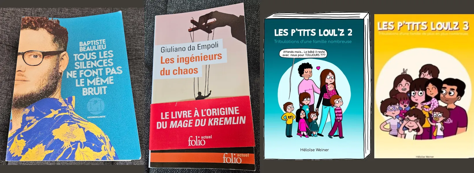 Featured image of post Mes lectures des derniers mois - de mars à novembre